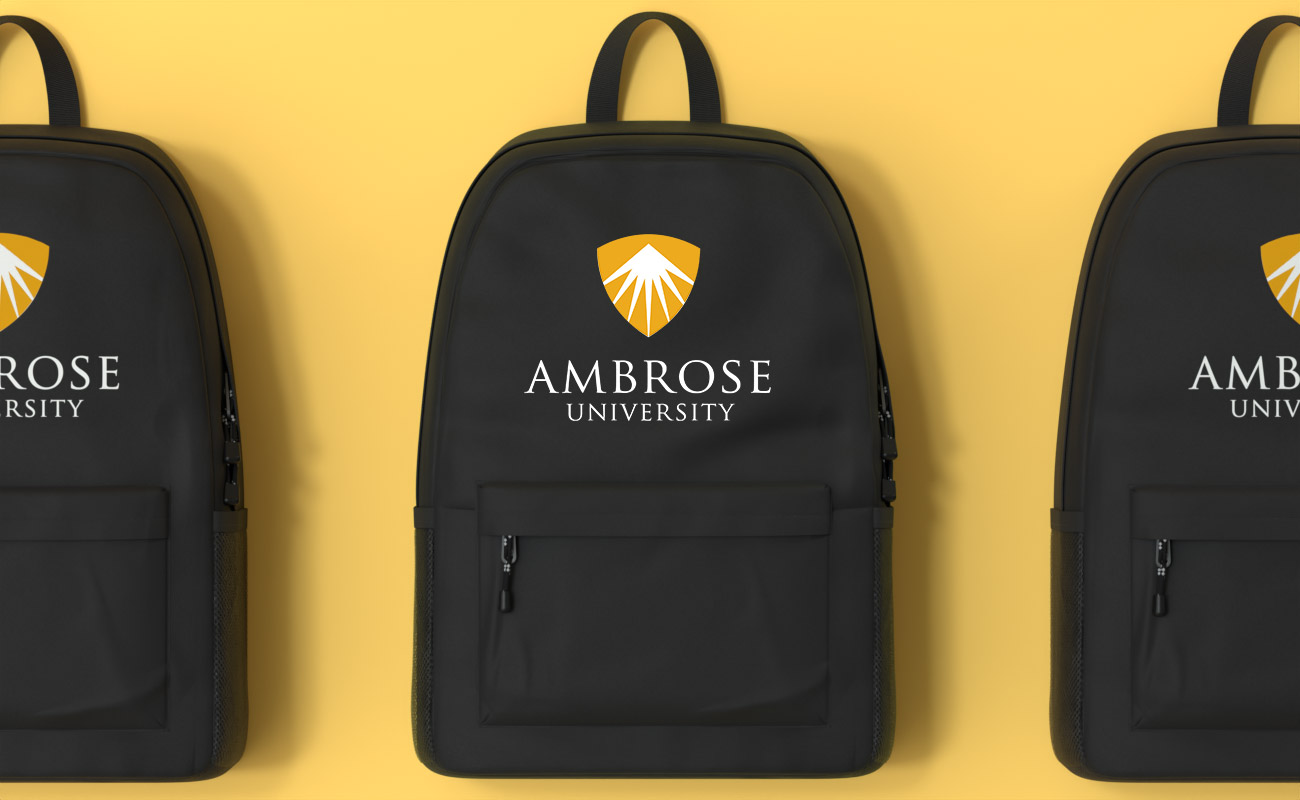 Quest - Backpack gallery thumbnail